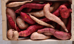 Le Jardin des Gallines - Patates Douces Bio 3kg