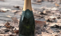 Champagne De Sloovere - Pienne - Champagne Carte d'Or  Brut