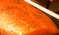 HLB TRAITEUR- GRAVLAX - Ô'Gravlaks - Pavé saumon Supérieur Ecossais - Recette danoise de gravlaks - 5-6 pers.