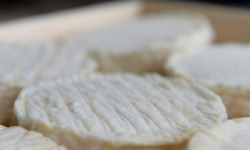 Fromagerie des Cabasses - Le Pérail Bio - Lait cru de brebis - 150 g