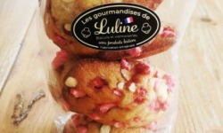 Les Gourmandises de Luline - Madeleines pralines (SANS GLUTEN) x10
