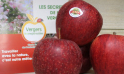 Le Châtaignier - Pommes Gala - 1 Kg