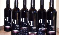 Maison Goubet - Merlot Bio - Vin De France Carton 6