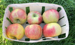 EARL Fruits du Maumont - Toutifruits - pomme dalilight - 1kg