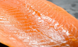 Lionel Durot - Filet entier 24 tranches de saumon fumé Label Rouge