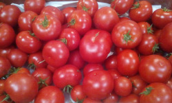 Gourmets de l'Ouest - Tomates de Saint-Malo