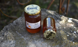 La Truite du Mézenc - Miel de Sapin - 500g