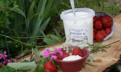 GAEC Les Perce-neige - Pot  XL de yaourt  nature 1l