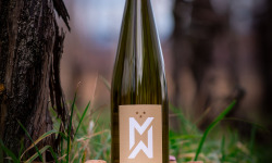 Domaine François WECK et fils - Muscat Grand Cru Goldert - 6 x 75 cl