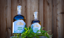 Ors na Bruma - Liqueur de Verveine 20cl