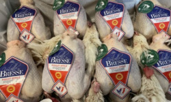 La Guyotte Ferme Bressane - Le Poulet de Bresse effilé AOP par 6