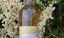 Distillerie du Bugey - Liqueur de gin au sureau 20cl