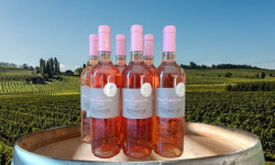 Château Haut-Lamouthe - Bergerac Rosé AOC - 6x75cl