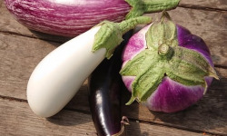 HERBA HUMANA - Aubergine mélange - 1kg