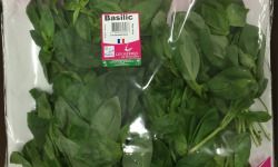 Les Herbes du Roussillon - Basilic Frais - 500g