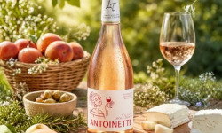Domaine Lucien Tramier - IGP Méditerranée Rosé 2025 "Antoinette" BIO