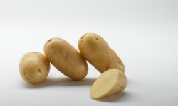 Maison Bayard - Pommes de terre Laurette Grenailles - 10kg