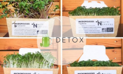 Ma Micropousse culinaire - Pack Detox (radis, Mizuna, Cresson, Roquette) 200g