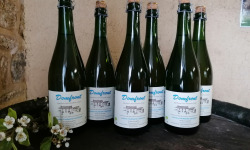 Domaine Fourmond Lemorton - Poiré Domfront Tradition AOP BIO x6