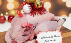 Ferme de la Paumerais - POULARDE DE LA FERME - 3 Kg  (x1)