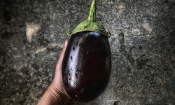 La Ferme d'Artaud - Aubergines - 2kg