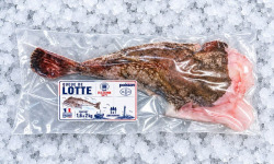 Mon Petit Poisson - Queue de lotte de Roscoff – 1,6 à 2 kg