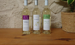 Domaine Les Conques Soulière - BLANC- 3 bouteilles Panaché 75 cl de Blanc IGP Méditerranée