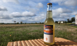 ChâteauFer - Le Kombucha