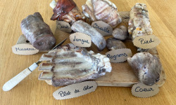 Maison Millas - Pack découverte Charcuterie cuite