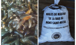 Gourmets de l'Ouest - Moules de bouchot de la la Baie du Mont Saint Michel AOP - 10kg