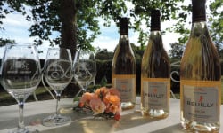 Domaine de Chevilly - AOC Reuilly Gris - La Licorne Rose - 3 Bouteilles