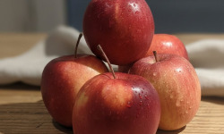 La Ferme Durbois - Pommes Fuji Betty Fidalgo 1kg