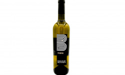 Domaine de Bonnefil - Lot de 6 bouteilles "L'Intrépide" 100% Mauzac