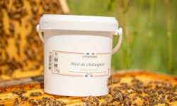 Apisphère - Miel de châtaignier seau 1,5kg