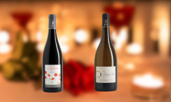 Domaine de la Chopinière du Roy - Lot 2 bouteilles  - Vin de Loire Rouge et Blanc sec et aromatique - 2 x 75 cl