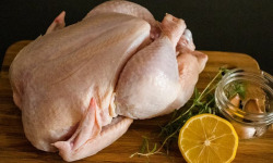 La ferme des Tuileries - [Précommande] Poulet entier - env 1,7kg