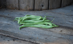 La Boite à Herbes - Haricots Vert - 100g