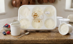 Ferme de Chavenne - Faisselle de vache 6x100g