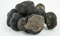 ALENA la Truffe d'Aquitaine - Truffe noire du Périgord fraîche (tuber melanosporum morceaux) - 250g