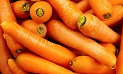 Maréchal Fraicheur - Carottes - 5 kg