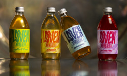 LOVEN Crew - Brasserie L'Indispensable - Kombucha Pack Addict - 24x33cl