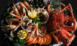 Luximer - Plateau de Fruits de Mer frais Du Gourmet - 2 Personnes