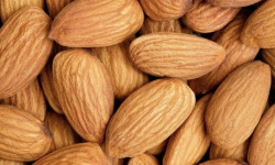 L'OLIVERAIE DU COUDON - AMANDES DÉCORTIQUÉES – 200 G