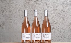 Enclos des Anges - Enclos des Anges Fraticello Rosé 2023 x 3