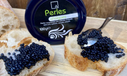 L'atelier Sea Frais - Perles d'algues