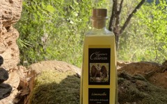 Terroirs de Corse - Limoncellu Prestige Corse