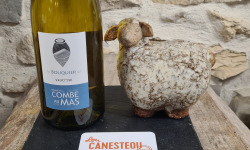 Lou Canesteou - Ventoux  blanc Bio Domaine Combe au Mas