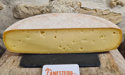 Lou Canesteou - Raclette Savoie nature lait cru tranchée 500g
