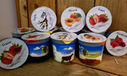 La Ferme de Labergement - Lot de 12 fromages blanc sur lit de fruits