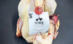 Volaille noire d'Astarac-Bigorre - [Précommande] Chapon "Noire d'Astarac-Bigorre" 2,5kg
